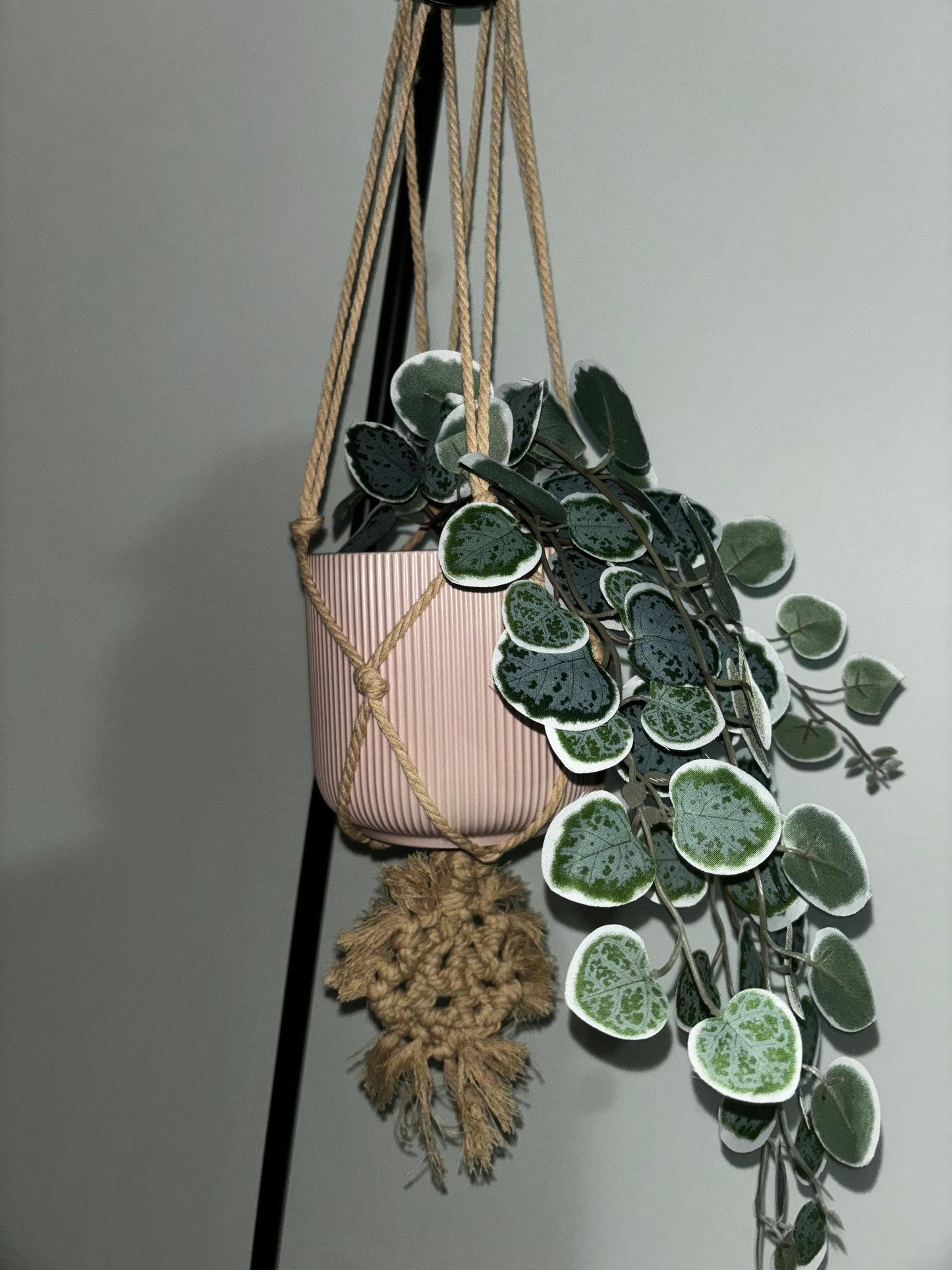 Macrame Plant Hanging