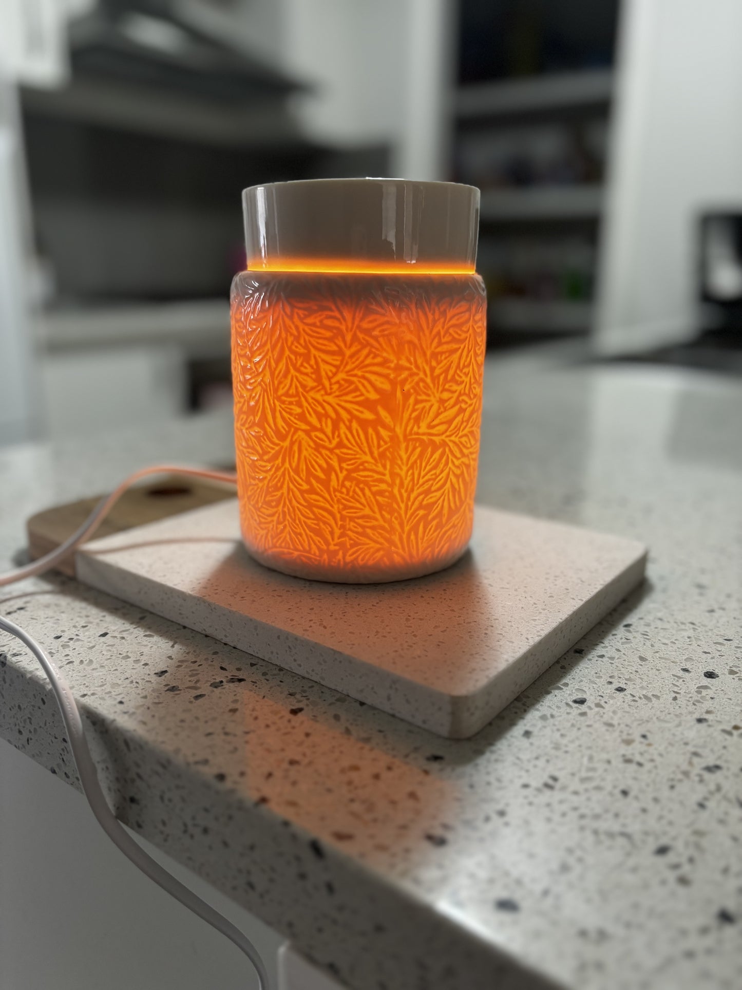 Electric wax warmer - large